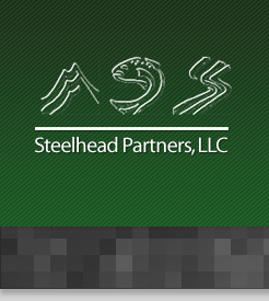 Steelhead Partners, LLC